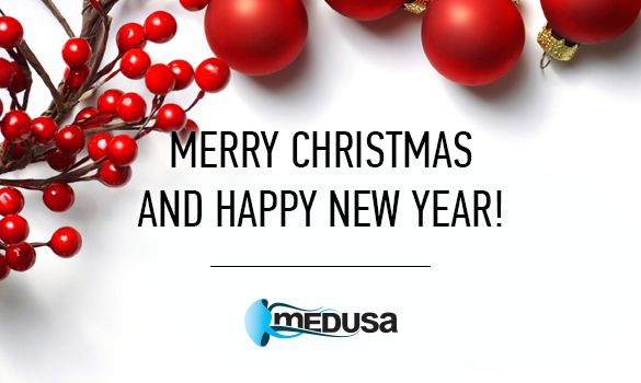 We Wish You a Merry Christmas and a Happy New Year!